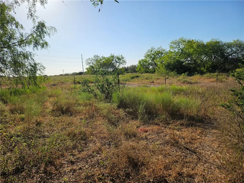 24024 441 CIRCLE Mathis, TX 78368