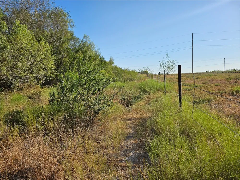24024 441 CIRCLE Mathis, TX 78368