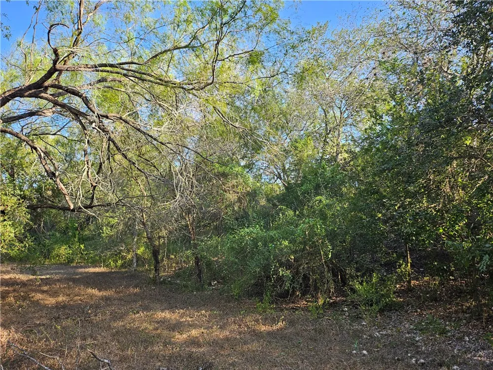 24024 441 CIRCLE Mathis, TX 78368