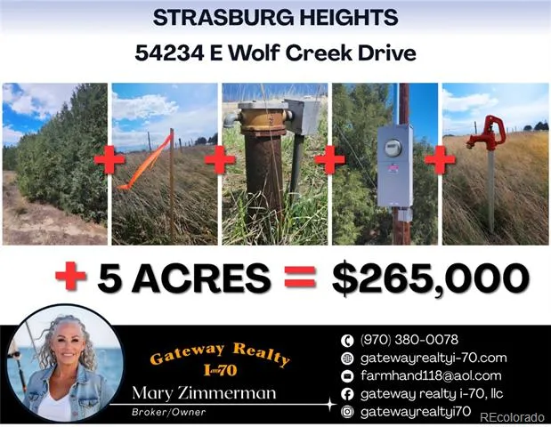 54234 E Wolf Creek Drive Strasburg, CO 80136