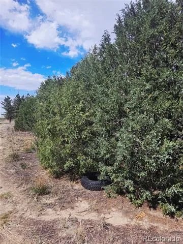 54234 E Wolf Creek Drive Strasburg, CO 80136