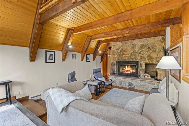 12715 E State Highway 82 Twin Lakes, CO 81251