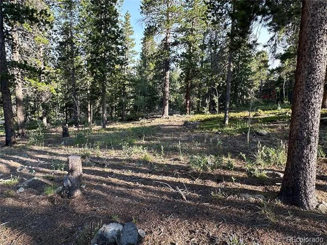 754 Mountain Meadows Drive Black Hawk, CO 80422