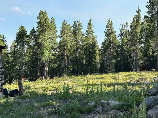 754 Mountain Meadows Drive Black Hawk, CO 80422