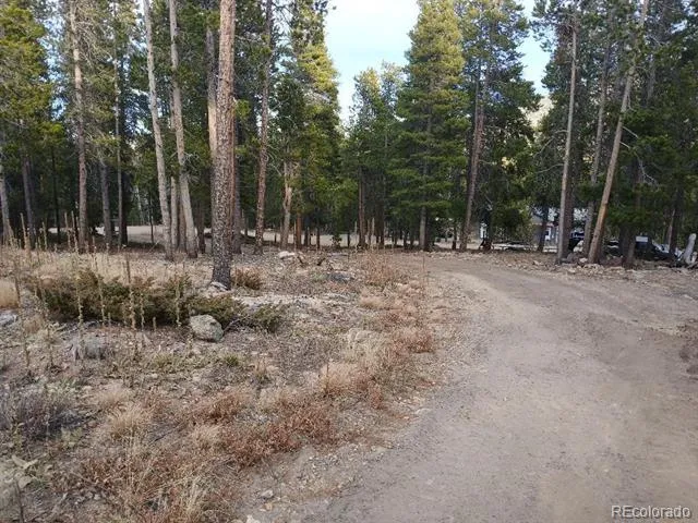 754 Mountain Meadows Drive Black Hawk, CO 80422