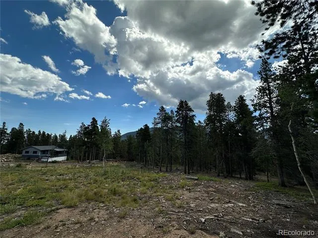 754 Mountain Meadows Drive Black Hawk, CO 80422
