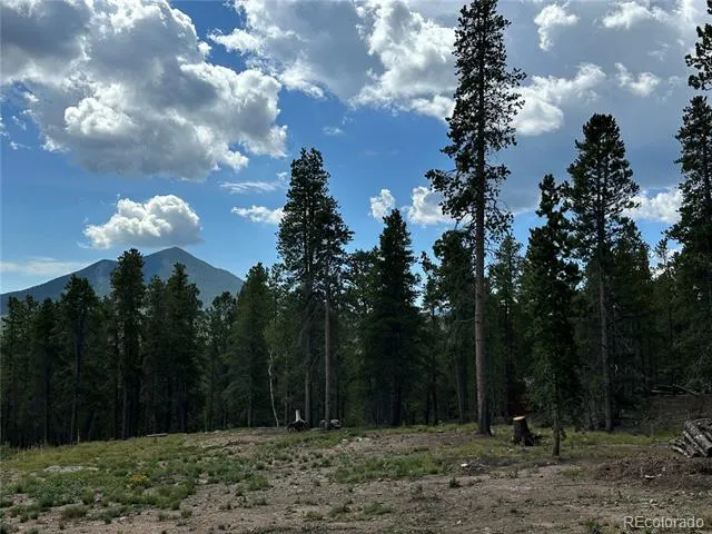 754 Mountain Meadows Drive Black Hawk, CO 80422