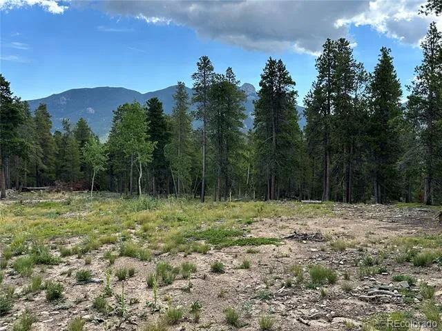754 Mountain Meadows Drive Black Hawk, CO 80422
