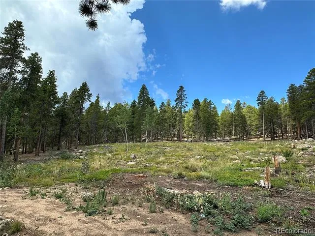 754 Mountain Meadows Drive Black Hawk, CO 80422