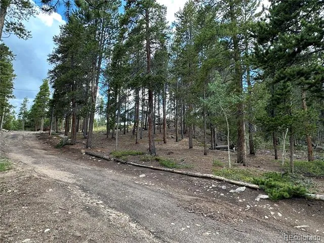 754 Mountain Meadows Drive Black Hawk, CO 80422
