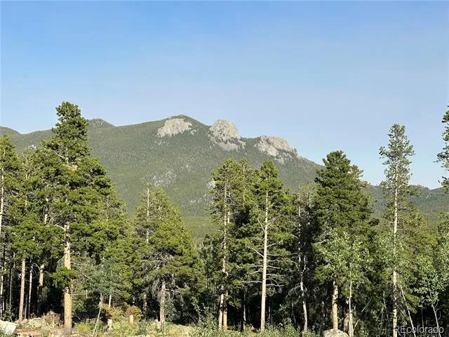 754 Mountain Meadows Drive Black Hawk, CO 80422