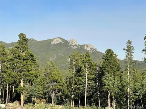 Mountain Meadows