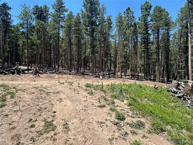 Mountain Meadows Black Hawk, CO 80422