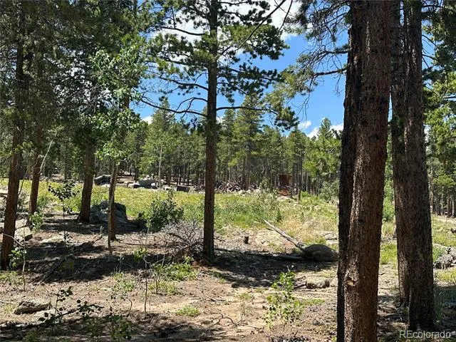 Mountain Meadows Black Hawk, CO 80422