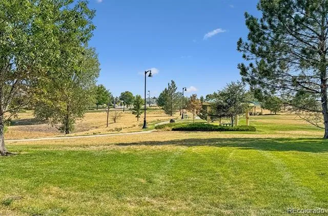 12235 Kalispell Street Brighton, CO 80603