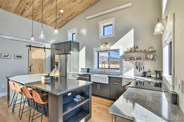 31351 Phil Court Buena Vista, CO 81211