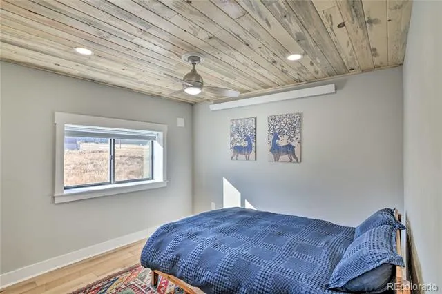 31351 Phil Court Buena Vista, CO 81211