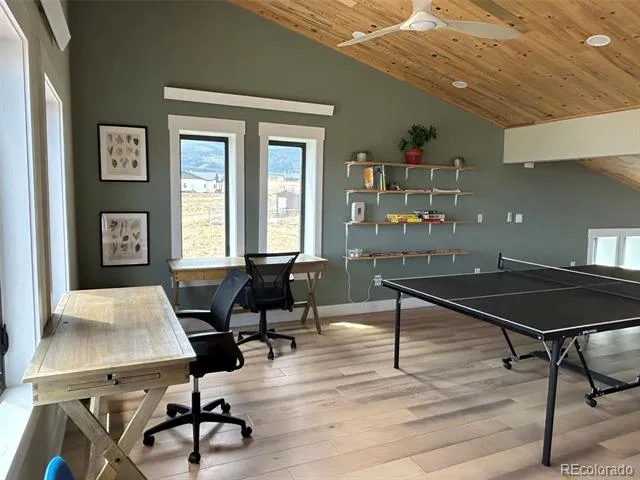 31351 Phil Court Buena Vista, CO 81211