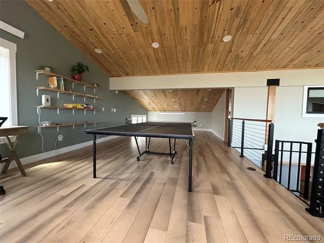 31351 Phil Court Buena Vista, CO 81211