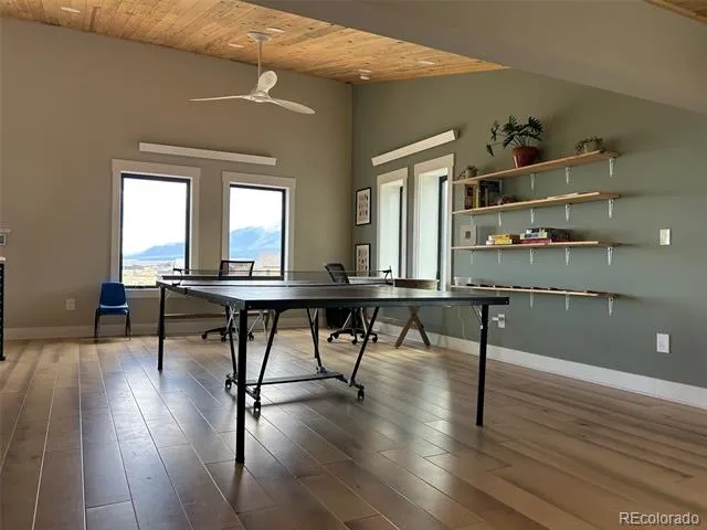 31351 Phil Court Buena Vista, CO 81211