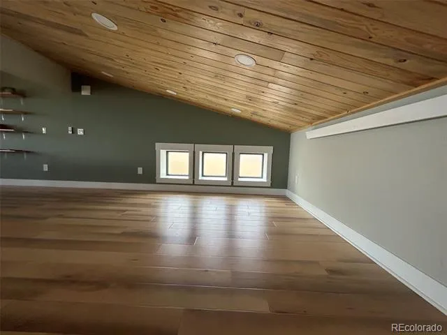 31351 Phil Court Buena Vista, CO 81211