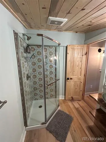 31351 Phil Court Buena Vista, CO 81211