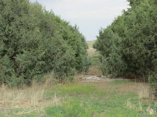 31056 County Road 47 Akron, CO 80720