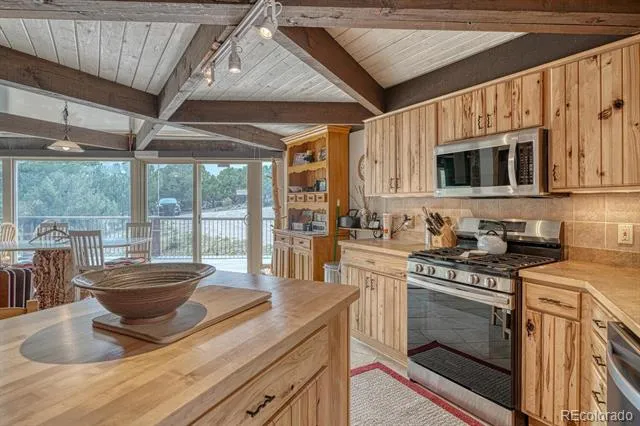 16695 County Road 162 Nathrop, CO 81236