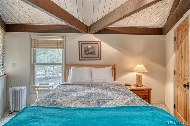 16695 County Road 162 Nathrop, CO 81236