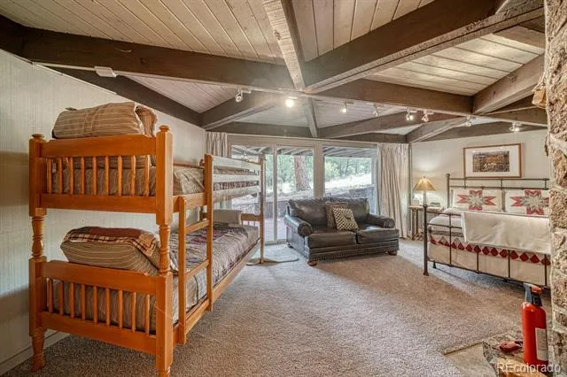 16695 County Road 162 Nathrop, CO 81236