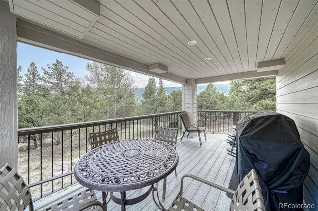 16695 County Road 162 Nathrop, CO 81236