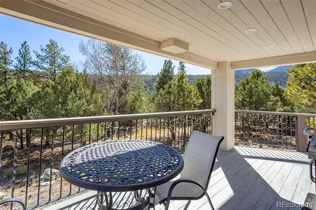 16695 County Road 162 Nathrop, CO 81236