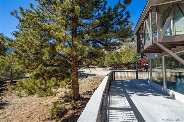 16695 County Road 162 Nathrop, CO 81236