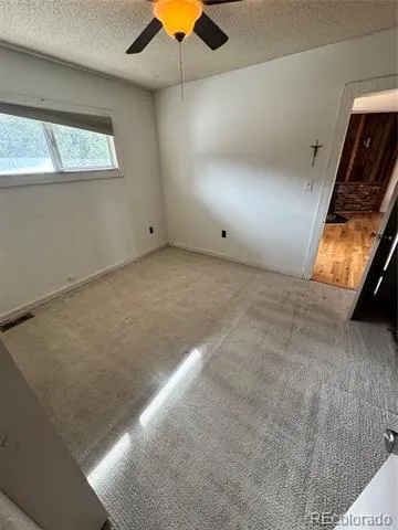 16695 County Road 162 Nathrop, CO 81236