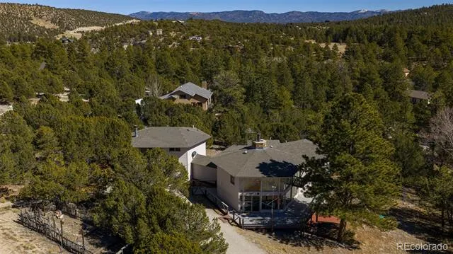 16695 County Road 162 Nathrop, CO 81236