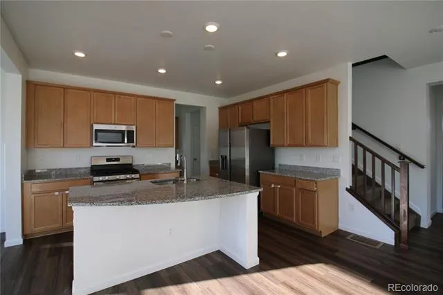 13385 Blue Amber Court Parker, CO 80134