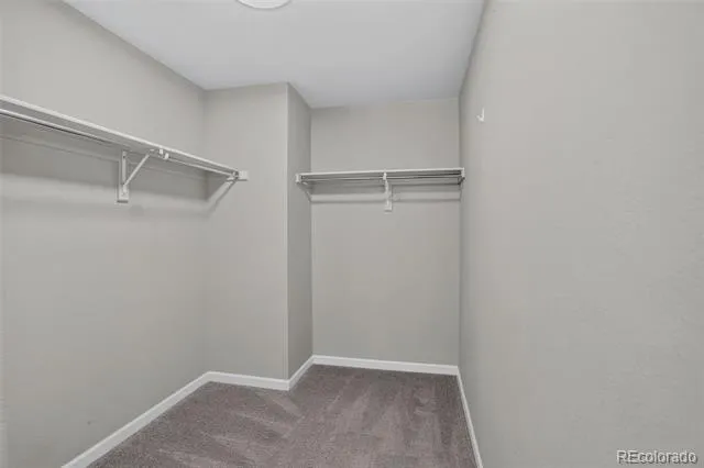 4677 River Highlands Loop Elizabeth, CO 80107