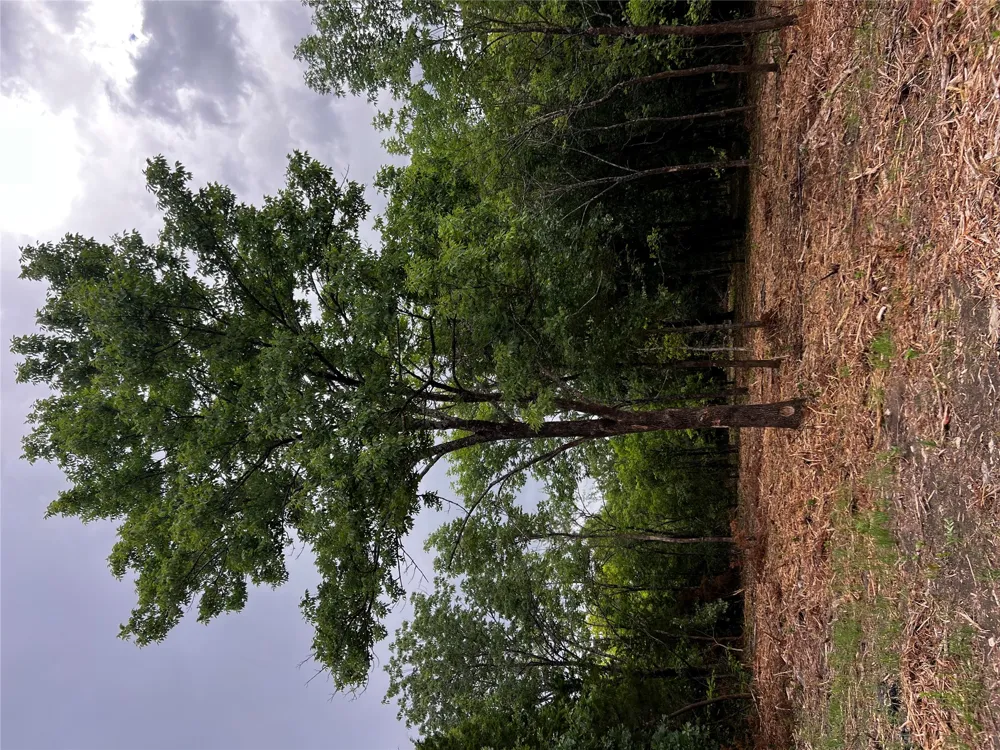 51st Street Sand Springs, OK 74063