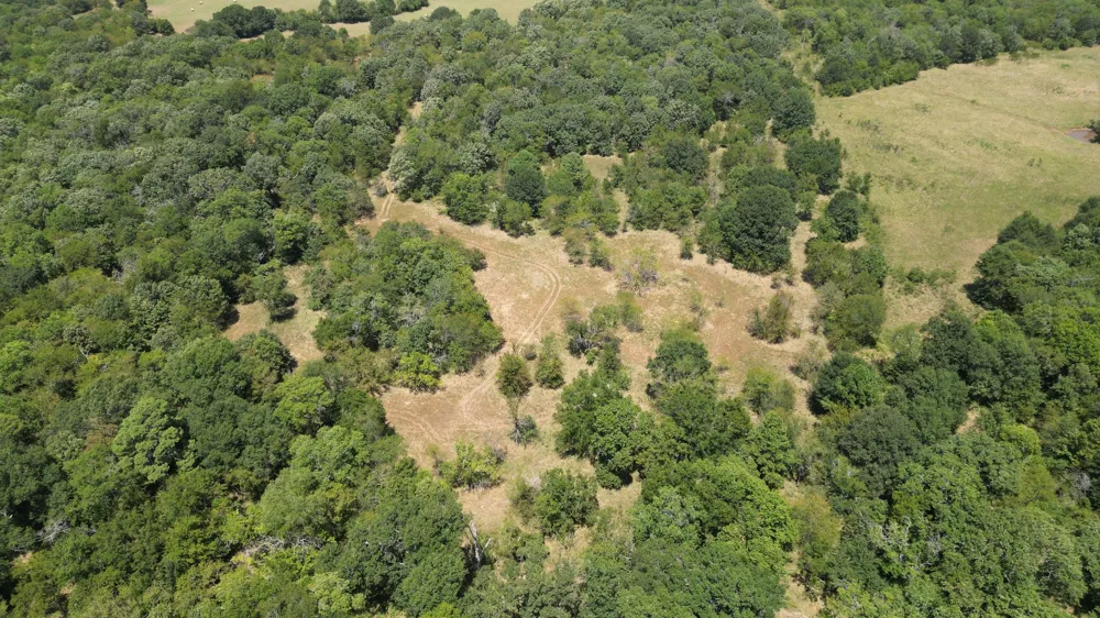 Bridge Road Stringtown, OK 74569