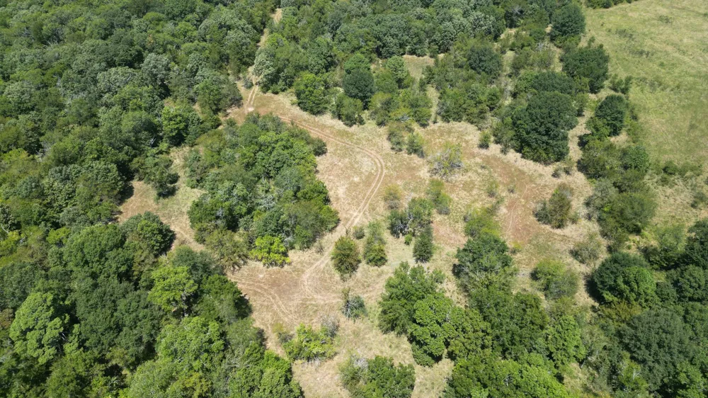 Bridge Road Stringtown, OK 74569