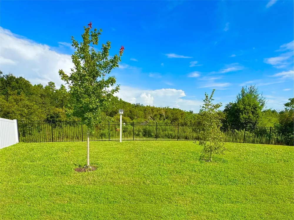 5718 SPIVEY COURT Wesley Chapel, FL 33545