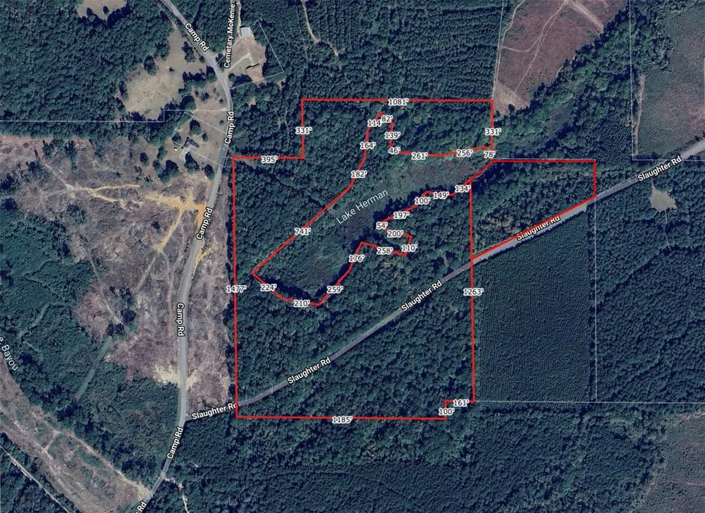 242 Slaughter Road Homer, LA 71040