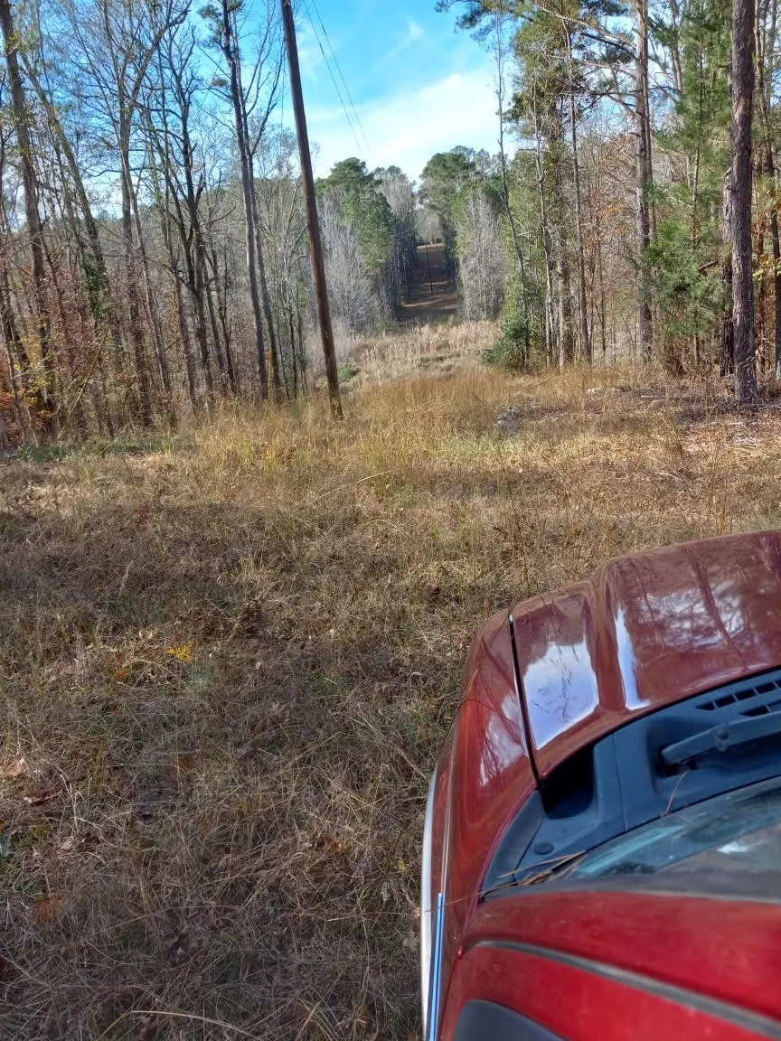 242 Slaughter Road Homer, LA 71040