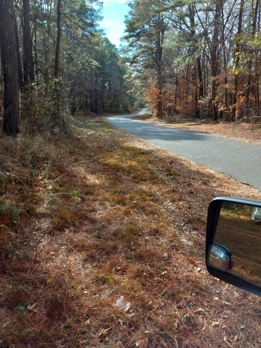 242 Slaughter Road Homer, LA 71040