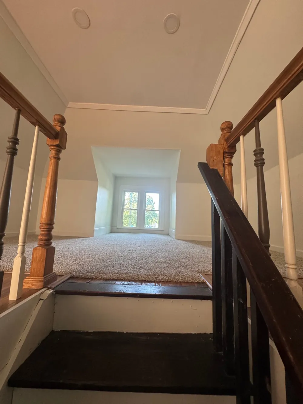 401 College St Petersburg, TN 37144