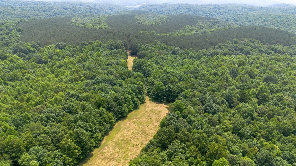 1353 Copperas Branch Rd Centerville, TN 37033