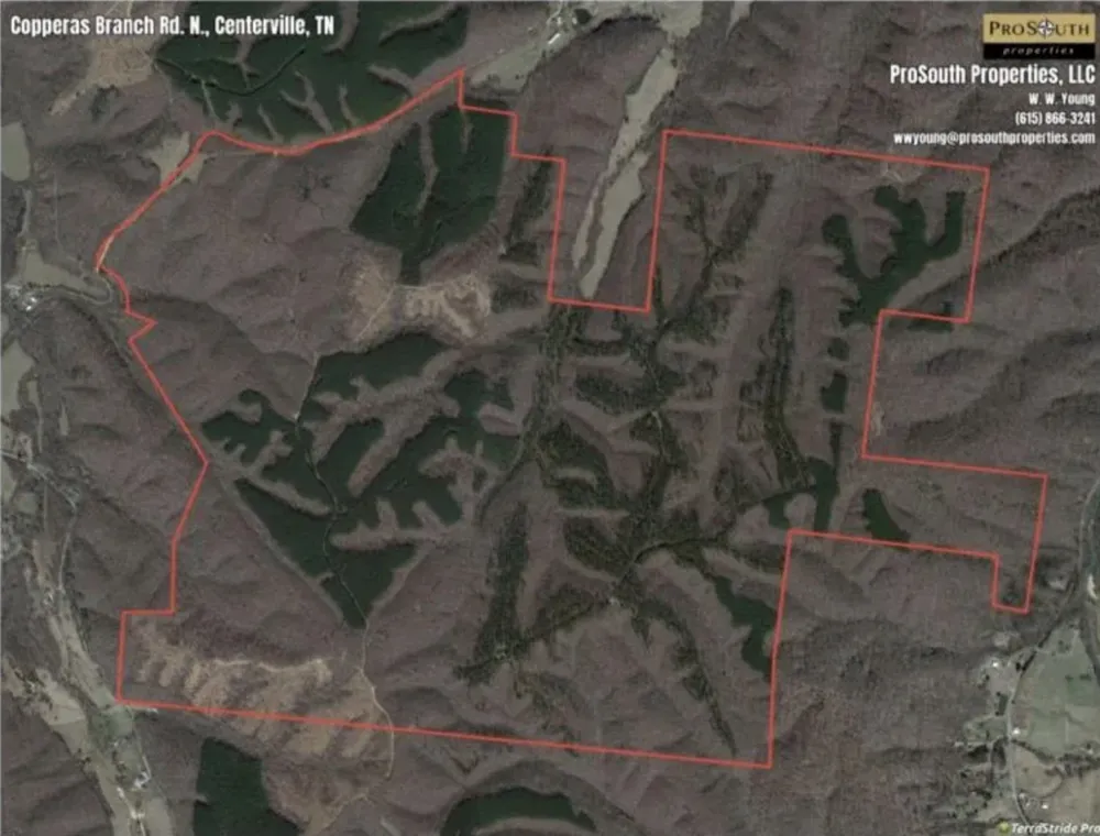 1353 Copperas Branch Rd Centerville, TN 37033