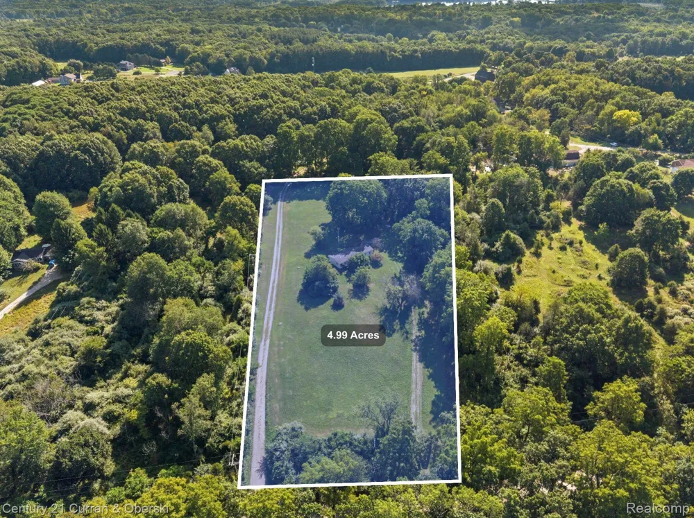 9202 Scully Road Webster Township, MI 48189
