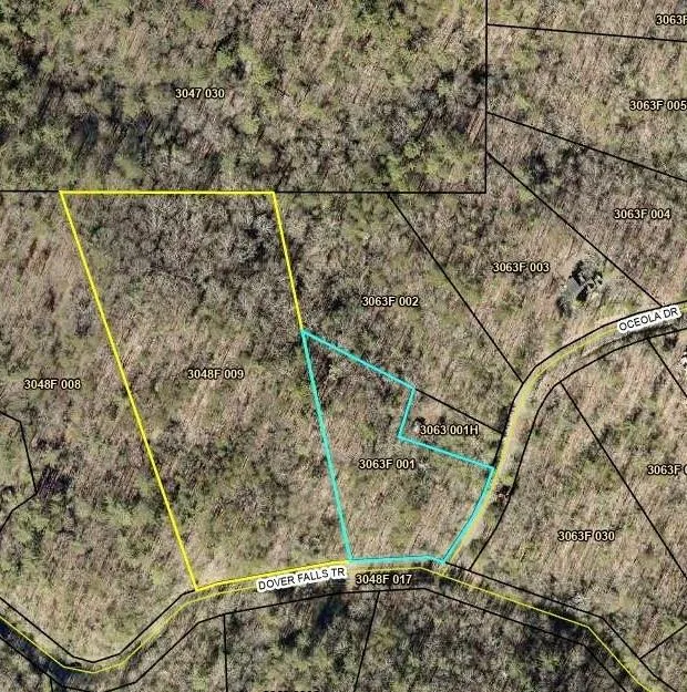 9 Dover Falls Trail Ellijay, GA 30540