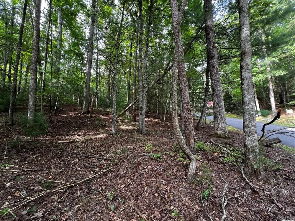 9 Dover Falls Trail Ellijay, GA 30540